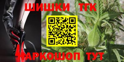 хмурый Шелехов