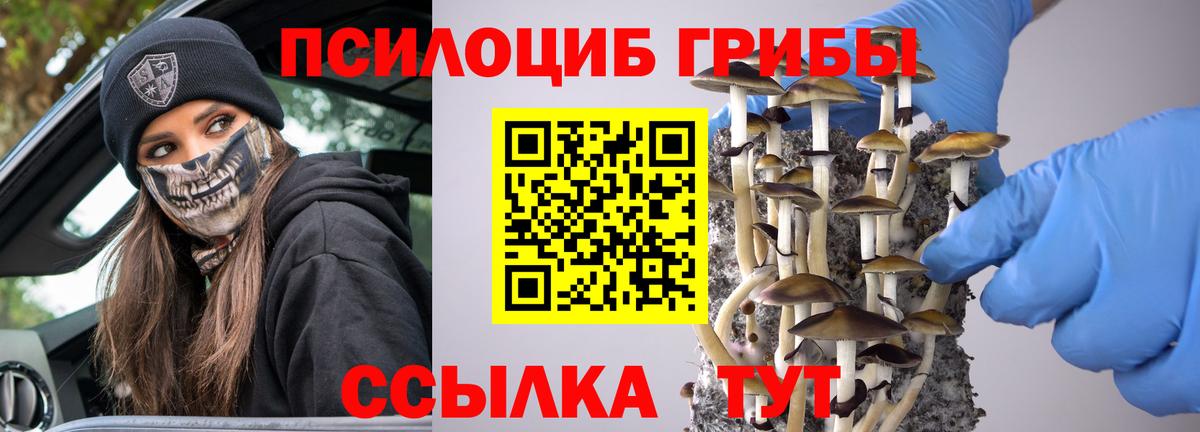 Галлюциногенные грибы ЛСД  Вход с VPN  Псилоцибиновые грибы Psilocybine cubensis  Артём 
