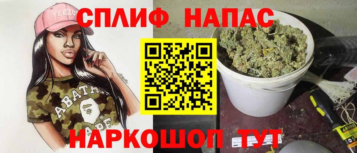 Конопля SATIVA & INDICA  Вход с VPN  Конопля сатива  Артём  Канабис White Widow 